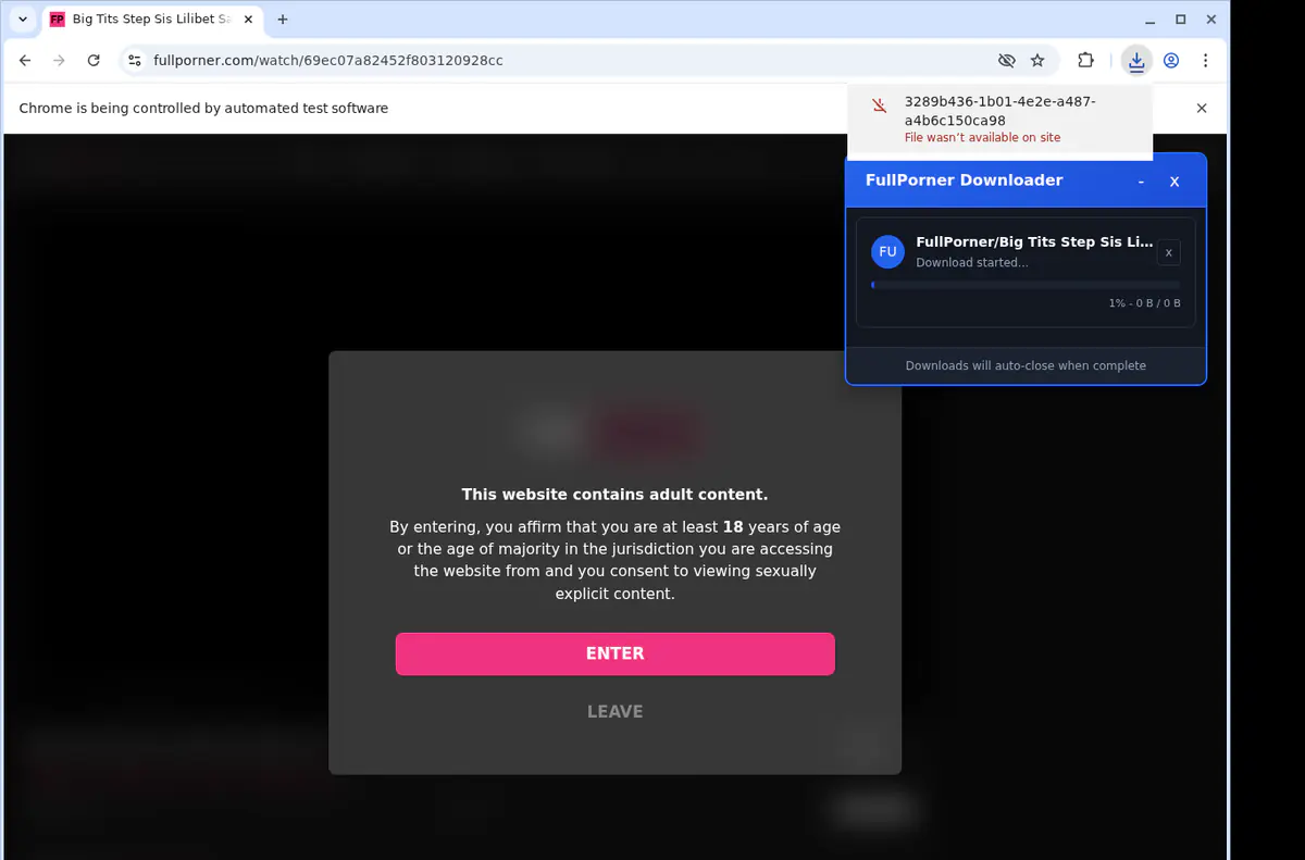 Fullporner Video Downloader browser extension screenshot 2