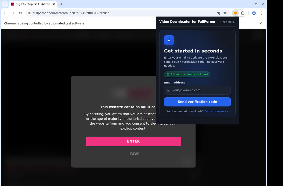 Fullporner Video Downloader browser extension screenshot 5